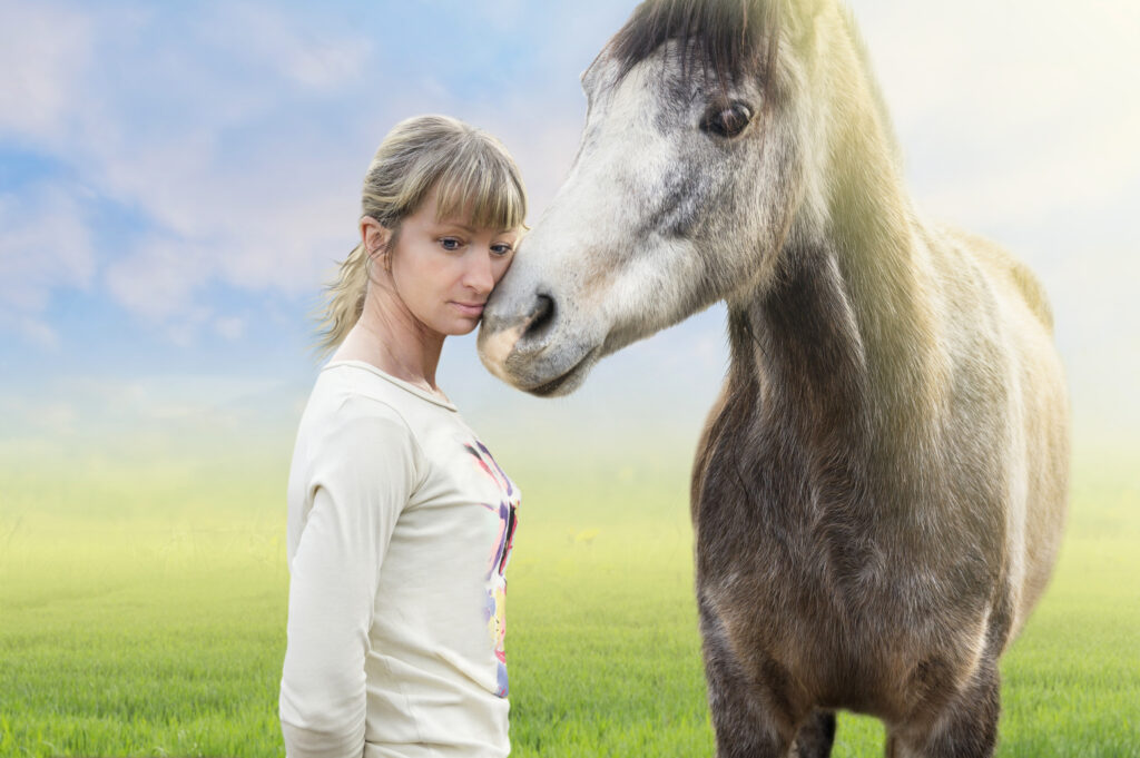 Das Pferd als Seelentröster